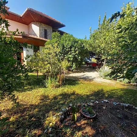 Datca,Mesudiye 'De Muestakil Guenluek Kiralik Villa فيلة