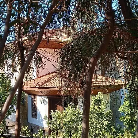 Datca,Mesudiye 'De Muestakil Guenluek Kiralik Villa داتْشا