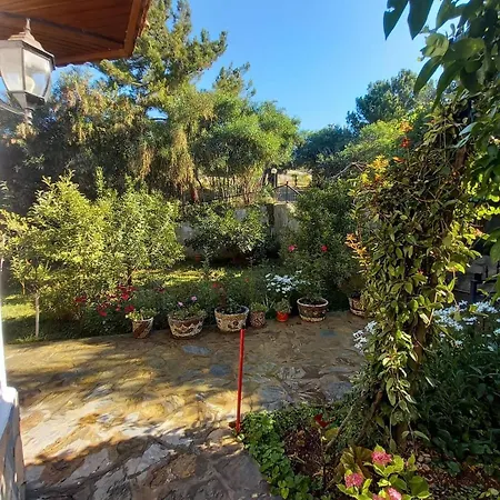 Datca,Mesudiye 'De Muestakil Guenluek Kiralik Villa فيلة داتْشا