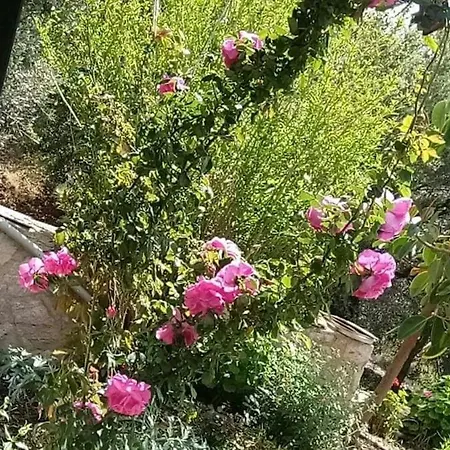 Datca,Mesudiye 'De Muestakil Guenluek Kiralik Villa * داتْشا