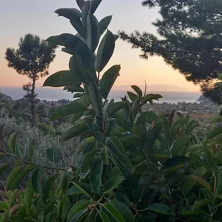 Vila Datca,Mesudiye 'De Muestakil Guenluek Kiralik Villa Datça