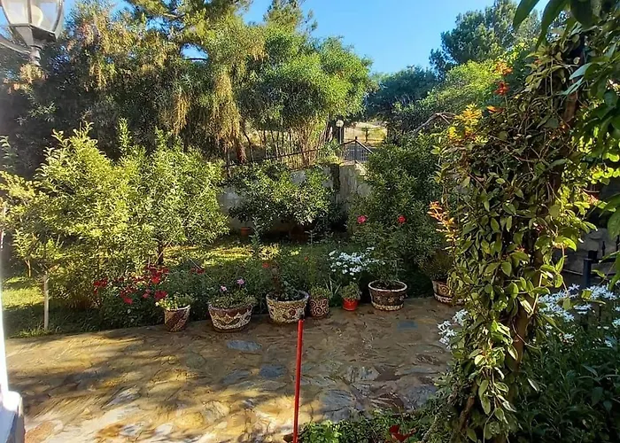 Datca,Mesudiye 'De Muestakil Guenluek Kiralik Villa Vila Datça