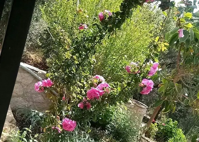 Datca,Mesudiye 'De Muestakil Guenluek Kiralik Villa * ダッチャ