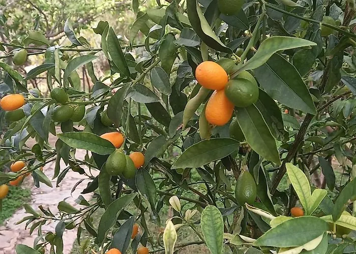 Villakoza With Sea View